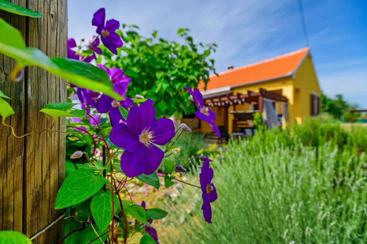 Sunny House Villa Smokovic Exteriör bild