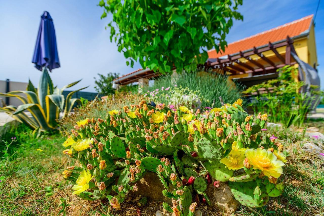 Sunny House Villa Smokovic Exteriör bild